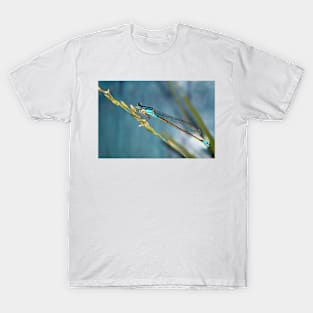 Blue Dragonfly T-Shirt